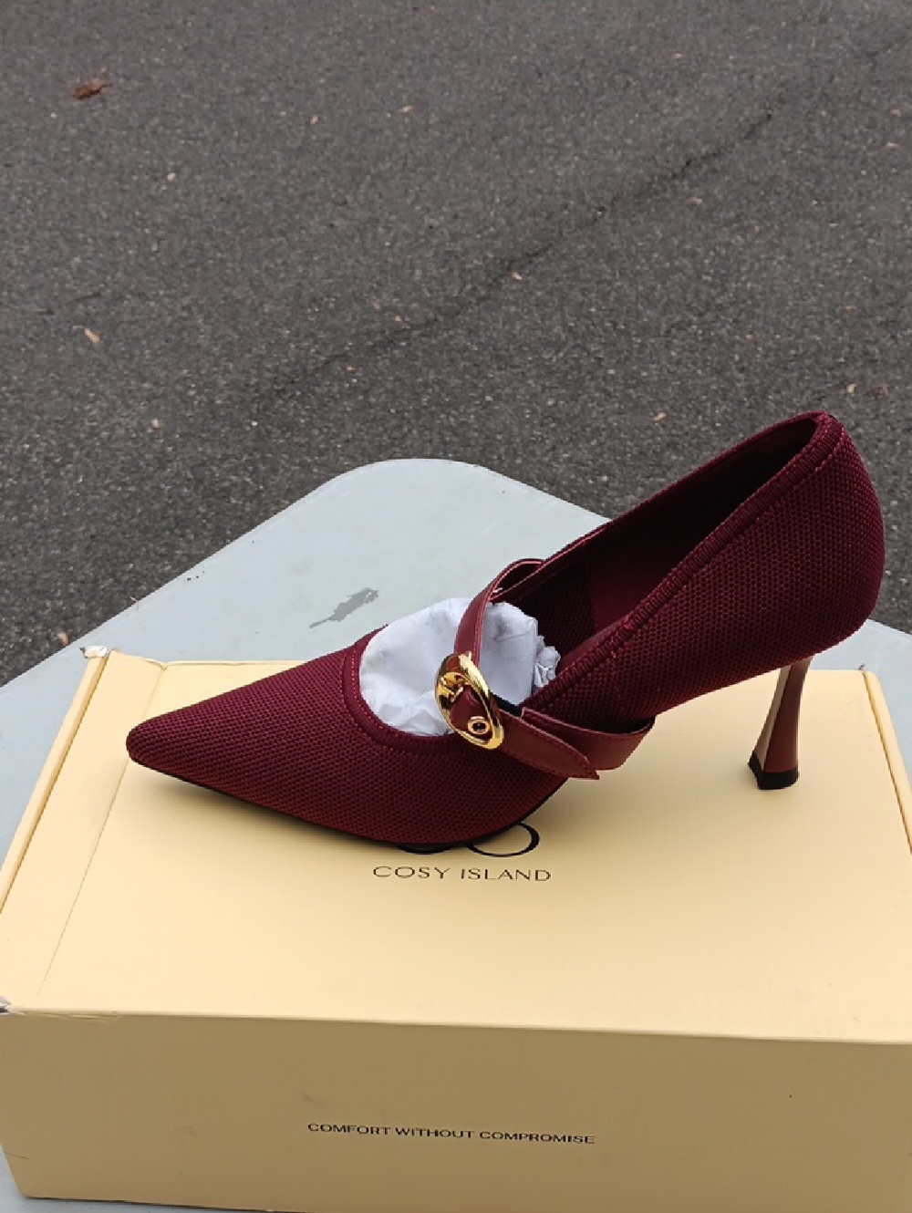 Women's Burgundy Pointed Mary Jane Heel